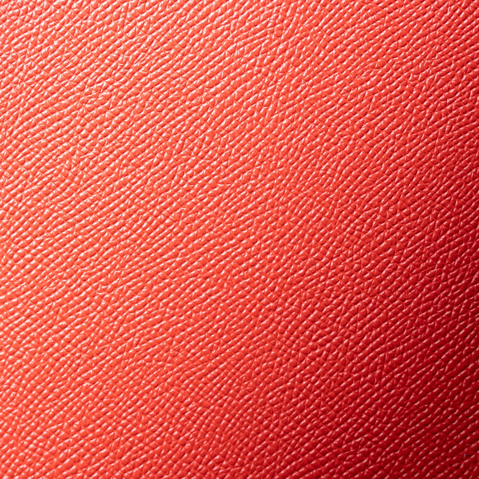 Alpina - immagine 6